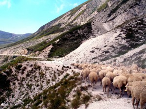 Campo Imperatore