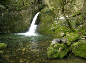 Stiffe Cascata con Istrice