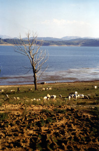 Lago di Campotosto (di E. Rainaldi)