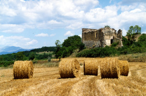 Stiffe (foto di E.Rainaldi)